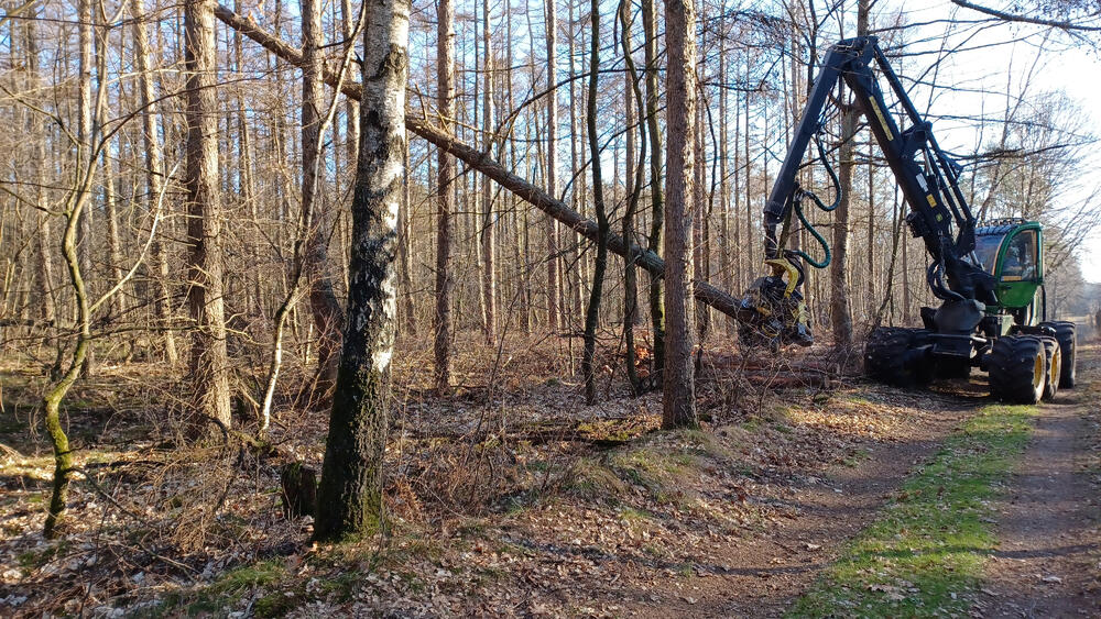 DBU Naturerbe Elmpt © Martin Wingertszahn/Bundesforst