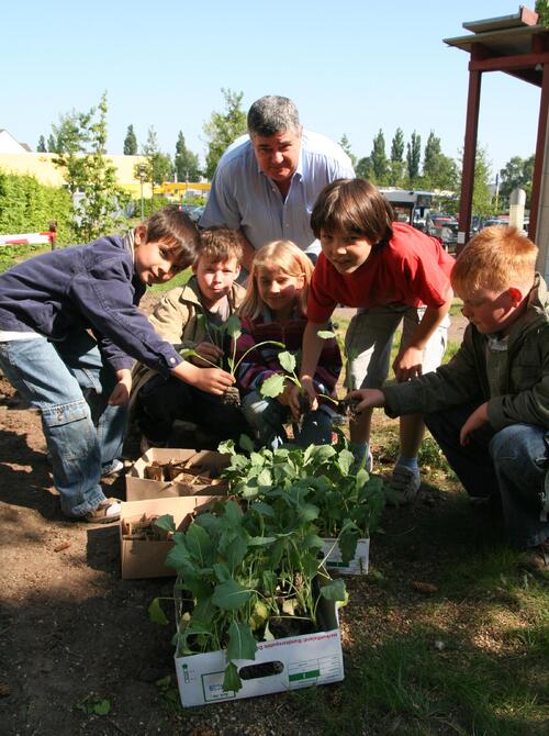 Wissenschaftler Knut Braun pflanzt mit Kindern der Grundschule Wallenhorst bionische Pflanzen (Kohlrabi=Lotuseffekt, Mohn=Salzstreuer) 