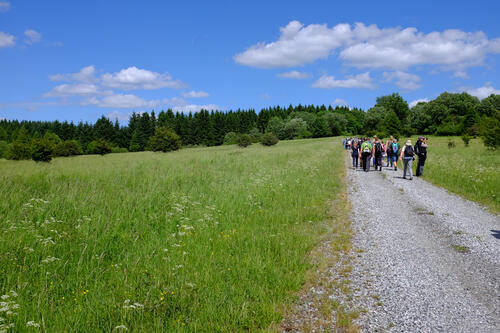 Stegskopf Wanderung  &copy; Deutsche Bundesstiftung Umwelt