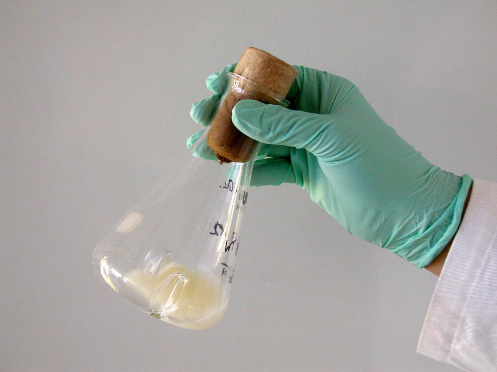 Biotechnologisches Verfahren 