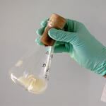 Biotechnologisches Verfahren 