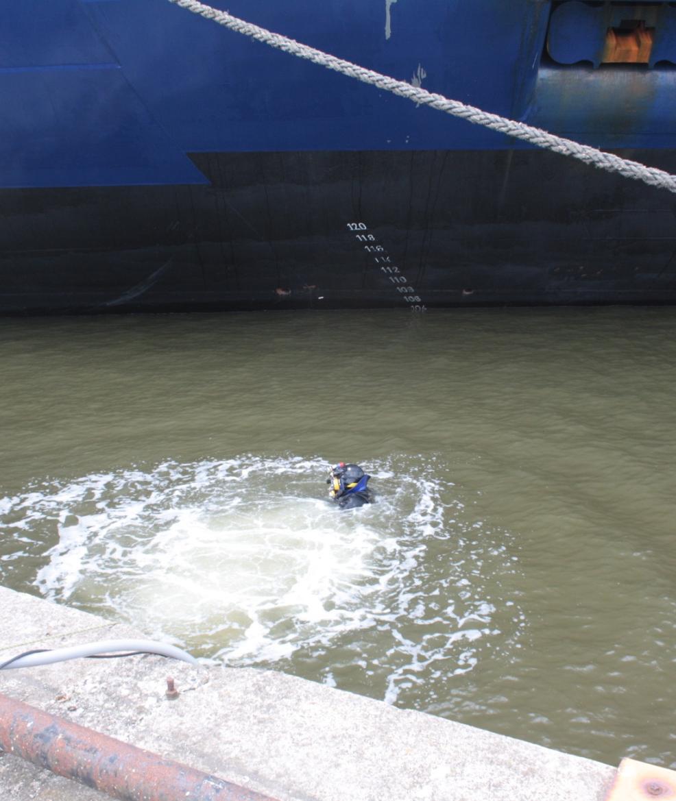 Im Einsatz: ein Taucher für die Unterwasserreinigung eines Schiffsrumpfes © LimnoMar