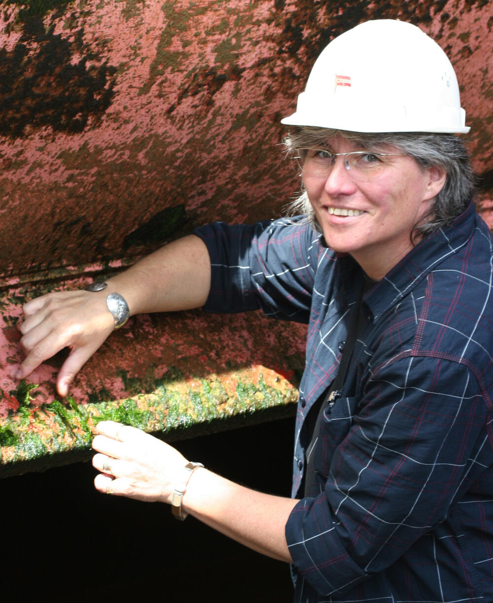 Prof. Dr. Antonia B. Kesel  &copy; B-I-C HS Bremen