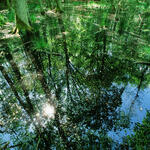 Prora © Norbert Rosing