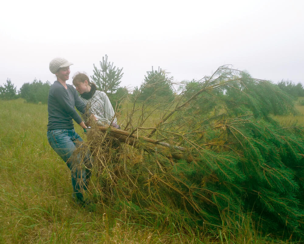Peenemünde - Freiwilligeneinsatz
 
