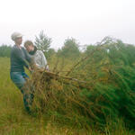 Peenemünde - Freiwilligeneinsatz 