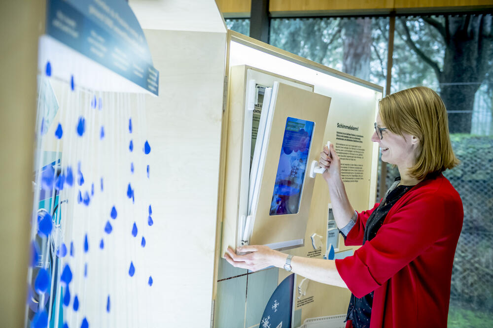 Fenster und Schimmel  © Rogge DBU