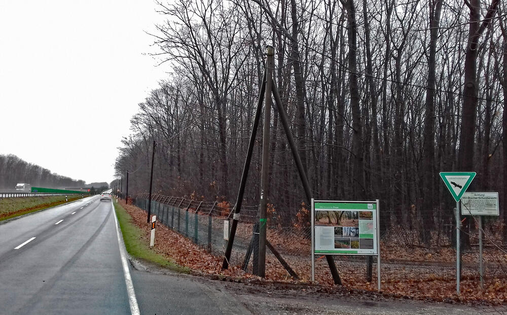 Forstarbeiten DBU-Naturerbefläche Elmpt © Martin Wingertszahn/Bundesforst