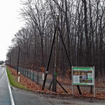 Forstarbeiten DBU-Naturerbefläche Elmpt © Martin Wingertszahn/Bundesforst