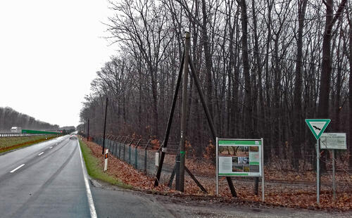 Forstarbeiten DBU-Naturerbefläche Elmpt © Martin Wingertszahn/Bundesforst