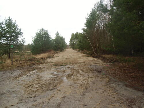 Rückbau2 © Harald Böttcher