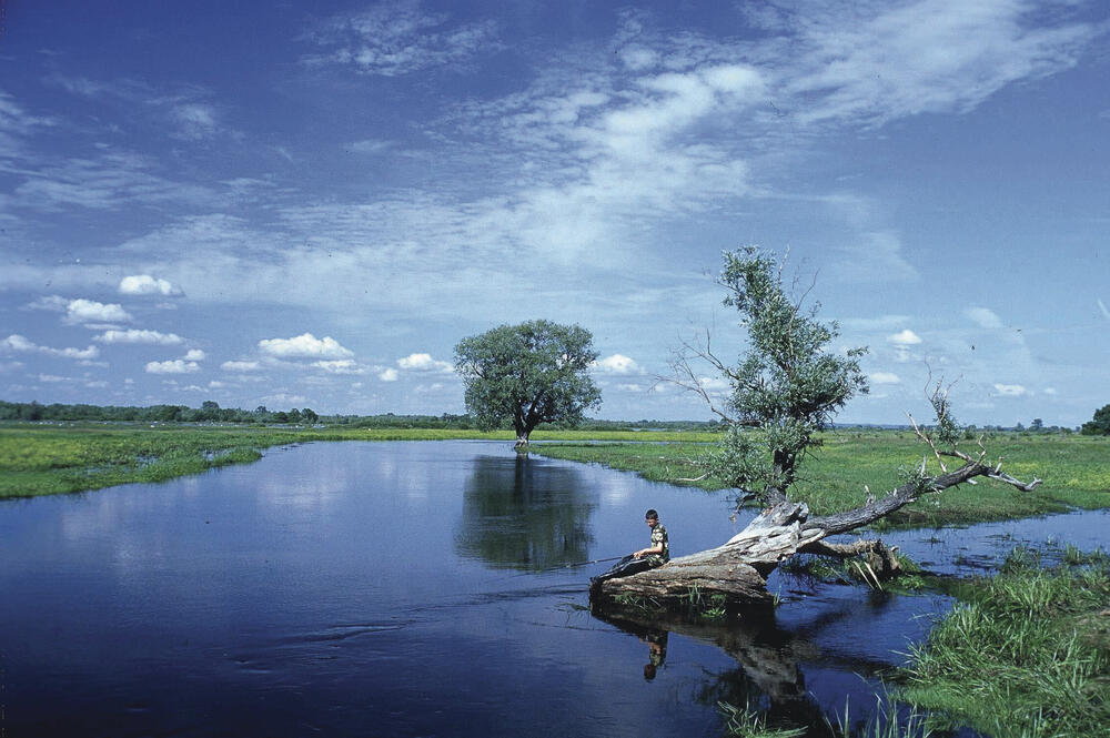 Sehen Sie selbst... &copy; Deutsche Bundesstiftung Umwelt