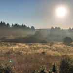 Derscher Geschwämm auf der DBU-Naturerbefläche Stegskopf © Christof Hast/Bundesforst