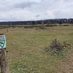 Sandmagerrasen auf der DBU-Naturerbefläche Hainberg © Roland Schröder/DBU Naturerbe