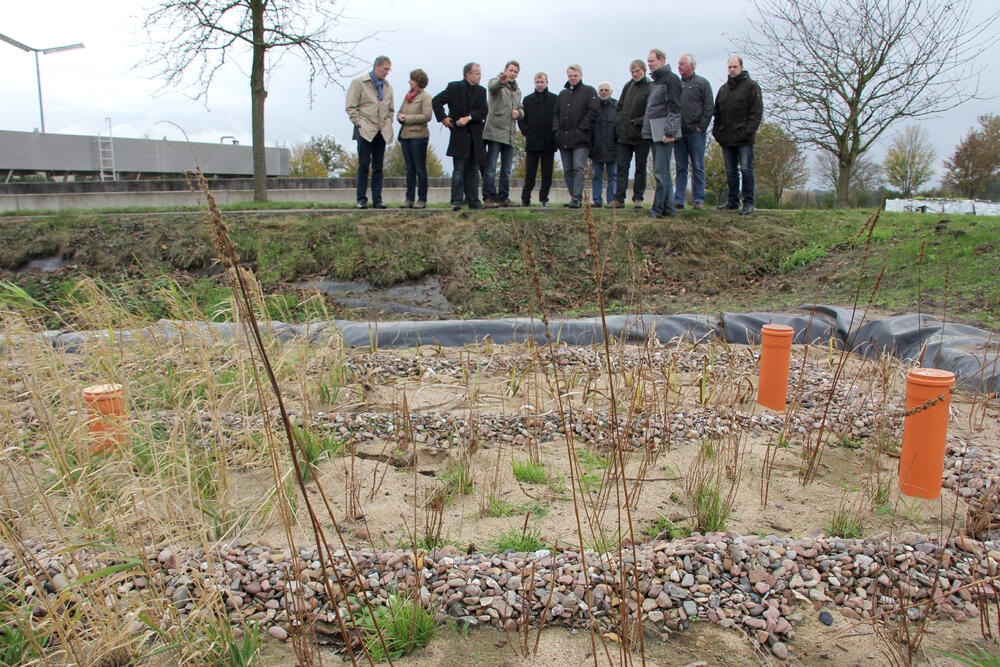 Pflanzenfilter eliminieren Arzneimittelrückstände 