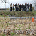 Pflanzenfilter eliminieren Arzneimittelrückstände 