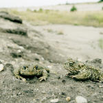 Naturparadies Grünhaus 