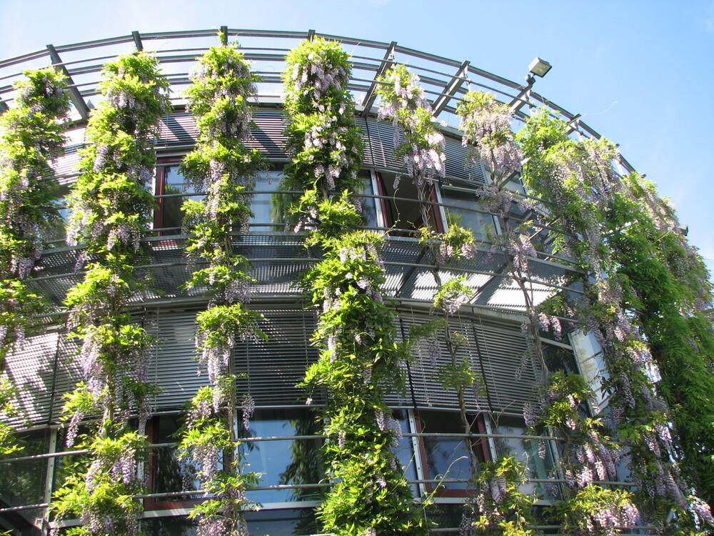 DBU-Gebäude im Sommer 2011 