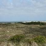 Lebensraum der Kornweihen &copy; Nadine Oberdiek