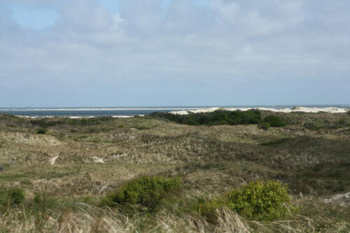 Lebensraum der Kornweihen &copy; Nadine Oberdiek