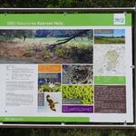 Infotafel Kaarzer Holz © Bundesforst