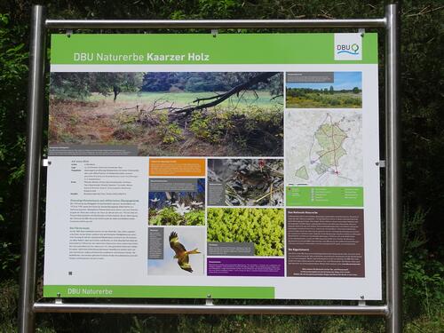 Infotafel Kaarzer Holz © Bundesforst