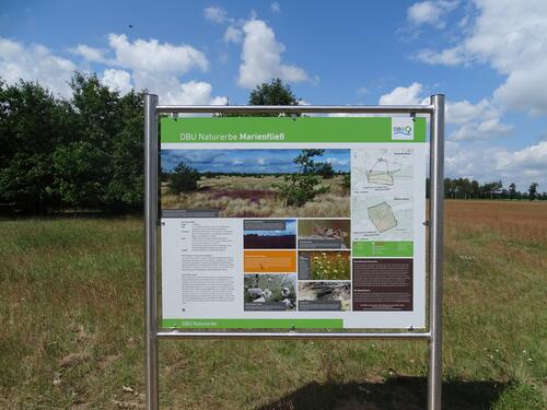 Infotafel DBU-Naturerbefläche Marienfließ © Bundesforst