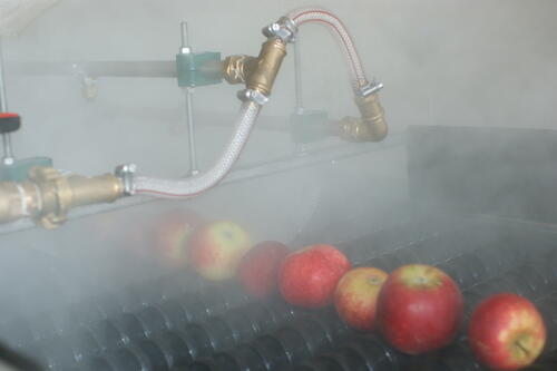Äpfel-Heißwasserbehandlung &copy; Peter Maxin/Obstbauversuchsanstalt Jork