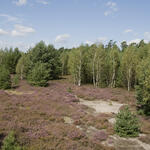 Sehen Sie selbst... © DBU Naturerbe GmbH