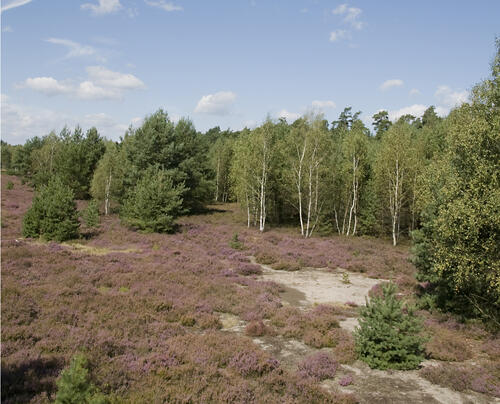 Sehen Sie selbst... © DBU Naturerbe GmbH