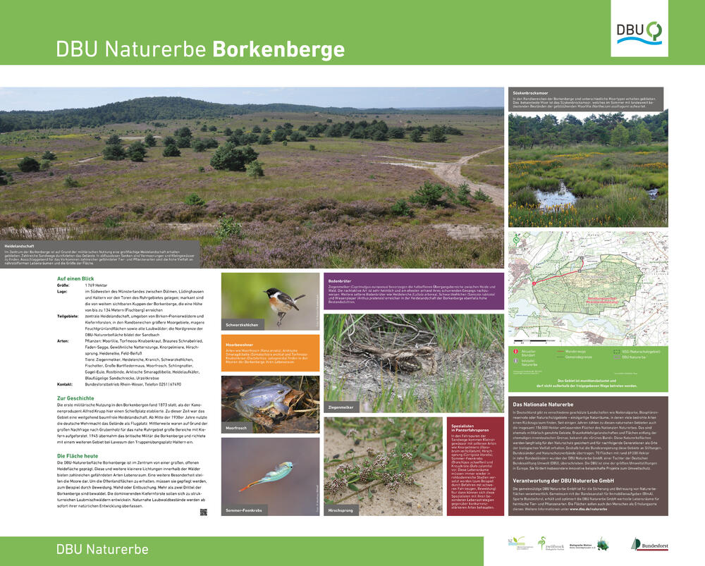 Infotafel Borkenberge 
