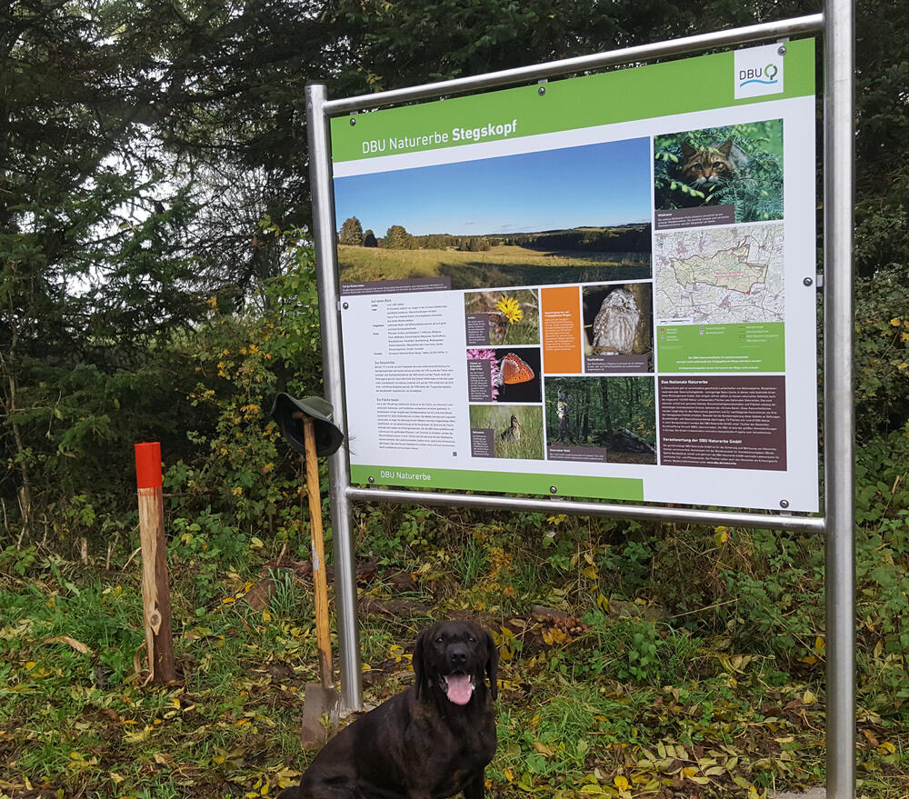 Stegskopf © Bundesforstbetrieb Rhein-Mosel 
