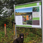 Stegskopf © Bundesforstbetrieb Rhein-Mosel 