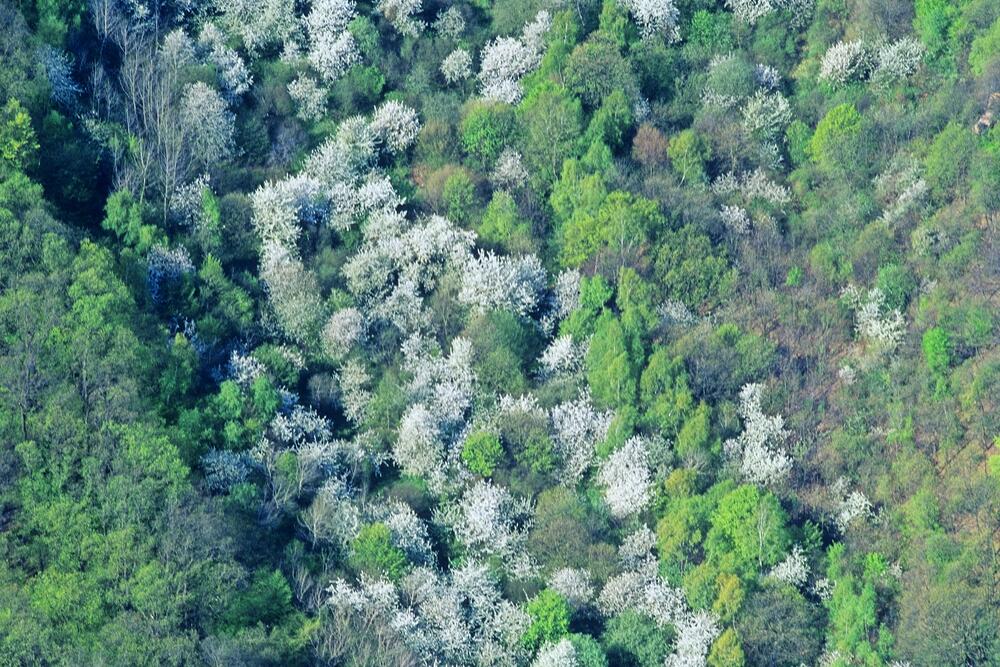 DBU Naturerbe Hohe Schrecke &copy; Norbert Rosing