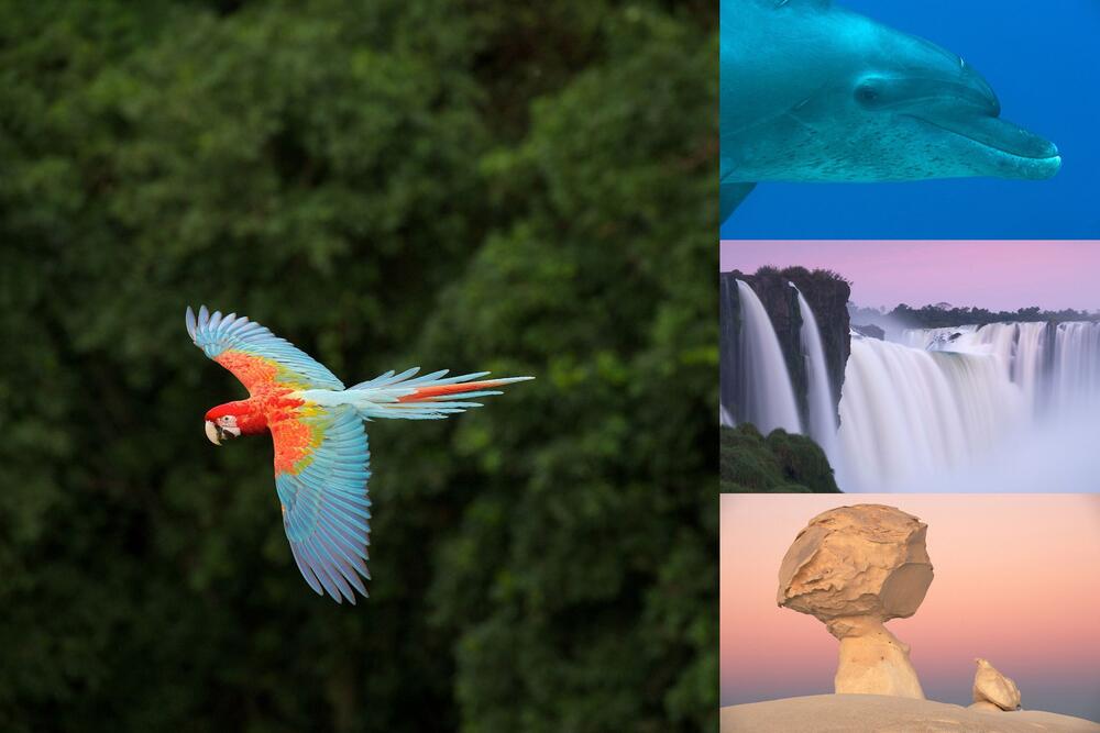 Sehen Sie selbst... &copy; Greenpeace e.V.