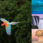 Sehen Sie selbst... &copy; Greenpeace e.V.