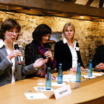 Podiumsdiskussion 