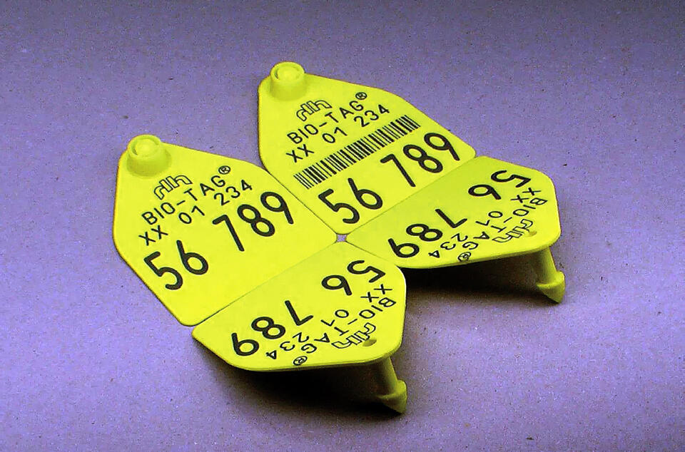 Tierkennzeichnungsmarke 