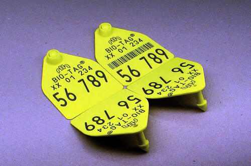 Tierkennzeichnungsmarke 