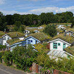 Begrünte Dächer © BuGG