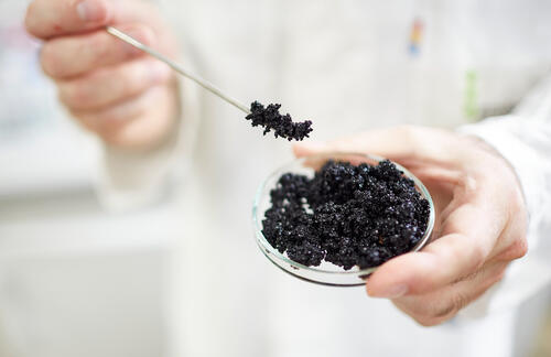 Adsorptionsgranulat © GEH Wasserchemie