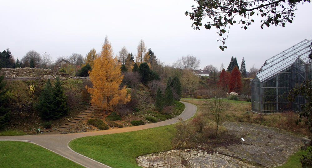 Botanischer Garten Osnabrück &copy; Elena Scholz