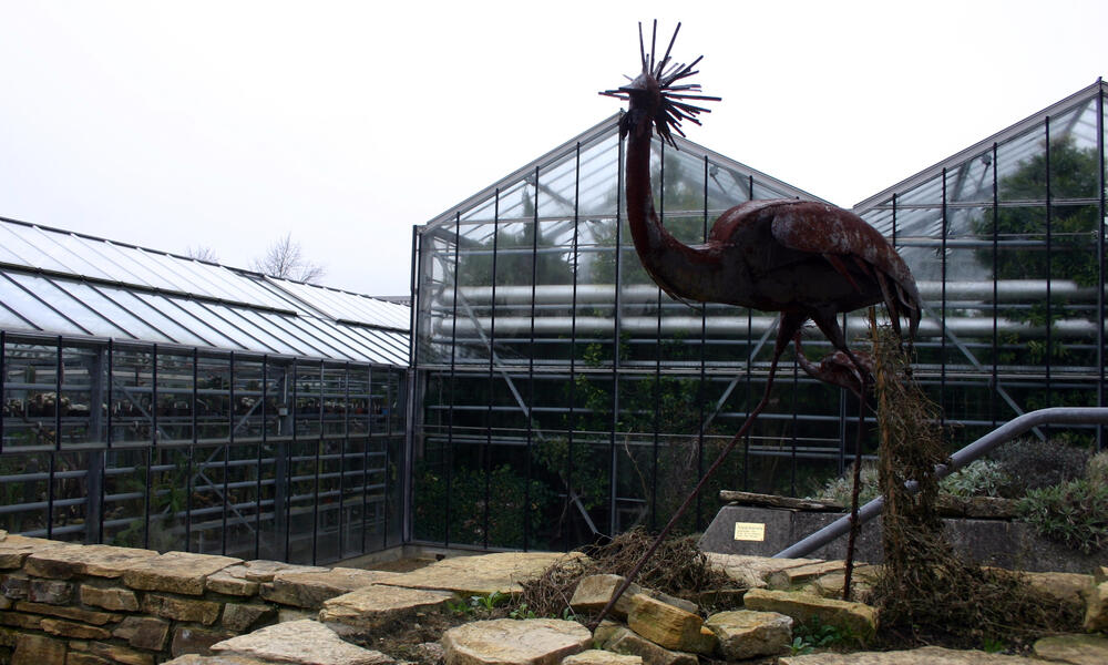 Überwinterungshaus Botanischer Garten Osnabrück &copy; Elena Scholz