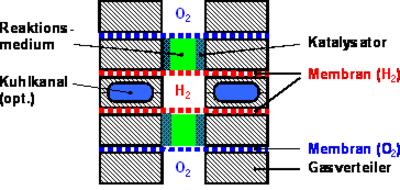 Direktsynthese in Kohlendioxid als Reaktionsmedium im Membran - Mikroreaktor 