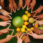 Frutticultura Entdecke Vielfalt &copy; Brasil09 e.V.