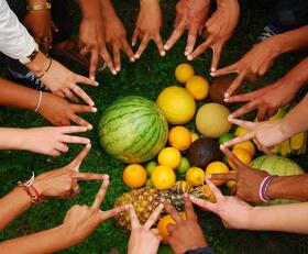 Frutticultura Entdecke Vielfalt © Brasil09 e.V.