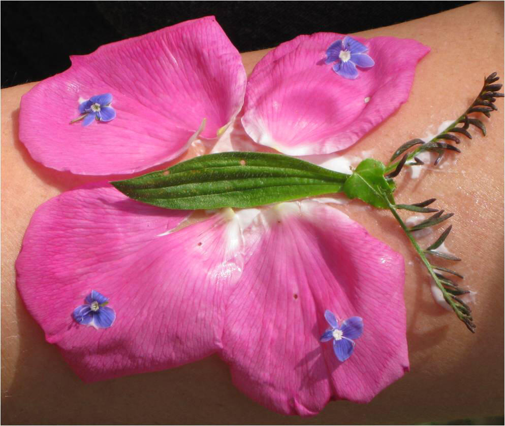 Schmetterling aus Blütenblättern 