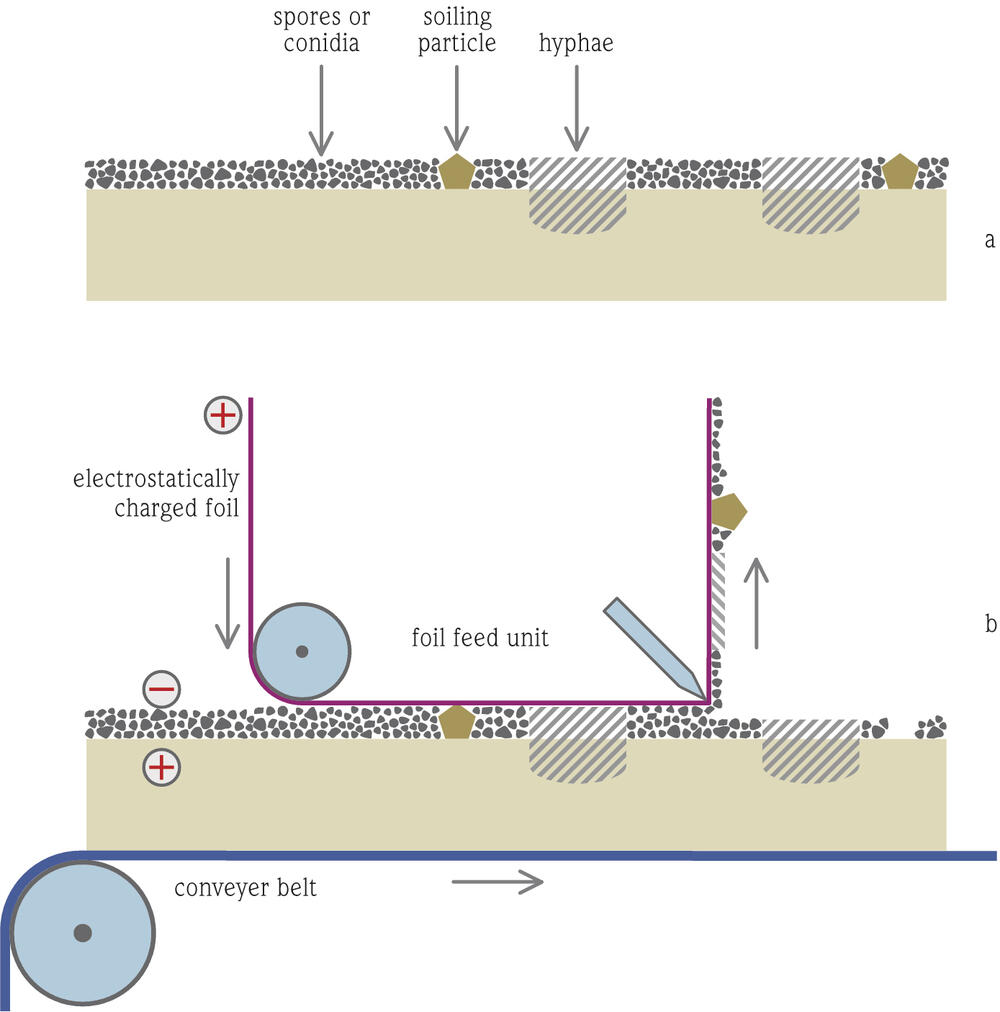 Prinzip der elektrostatischen Reinigung 