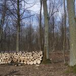 DBU-Naturerbefläche Reiterswiesen © Bundesforst/ Fritzemeier