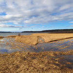 Heidemoor © Lena Fitzner/DBU Naturerbe